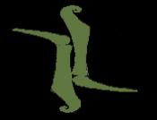 Sector Illusion's Avatar